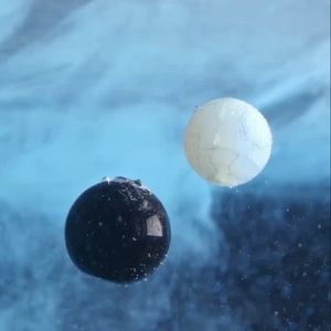 Meet your Posher, Risquè